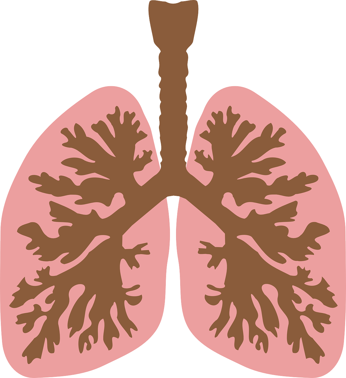 【呼吸器の病気の治療法・予防対策】　肺・気管支の病気の種類と一覧表　【健康と病気】