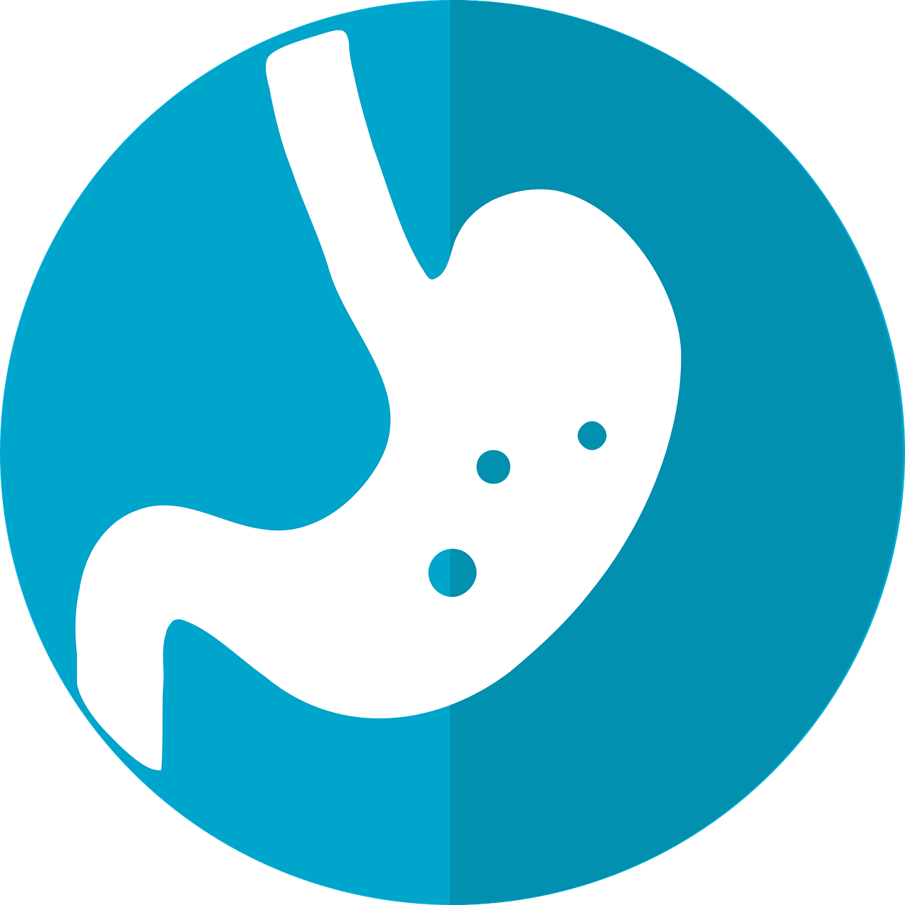 【消化器の病気と治療法・予防対策】　胃の病気・腸の病気の種類と一覧表　【健康と病気】